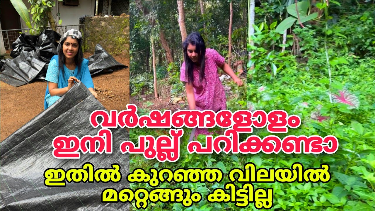വർഷങ്ങളോളം ഇനി പുല്ല് പറിക്കണ്ട | ഇതിൽ കുറഞ്ഞ വിലയിൽ മറ്റെങ്ങും കിട്ടില്ല | Weed mat in low price 