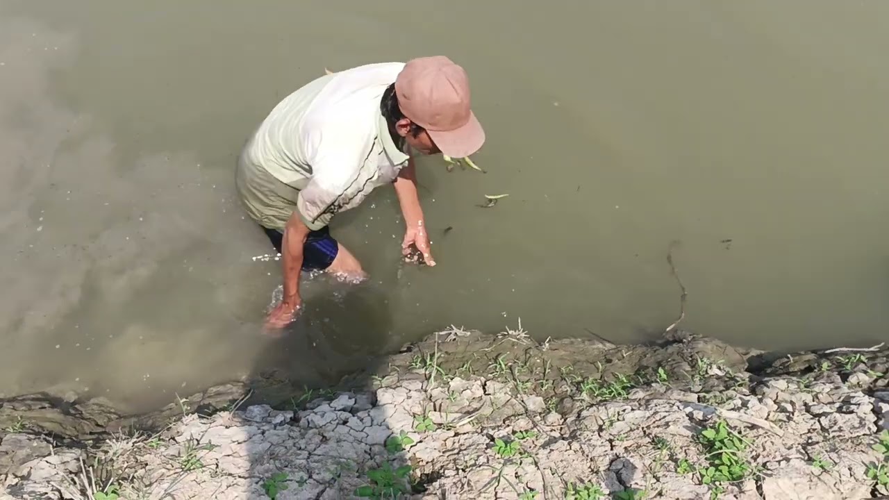 Bửa, nai được chồng đi bắt, ốc cho mình ăn nha
