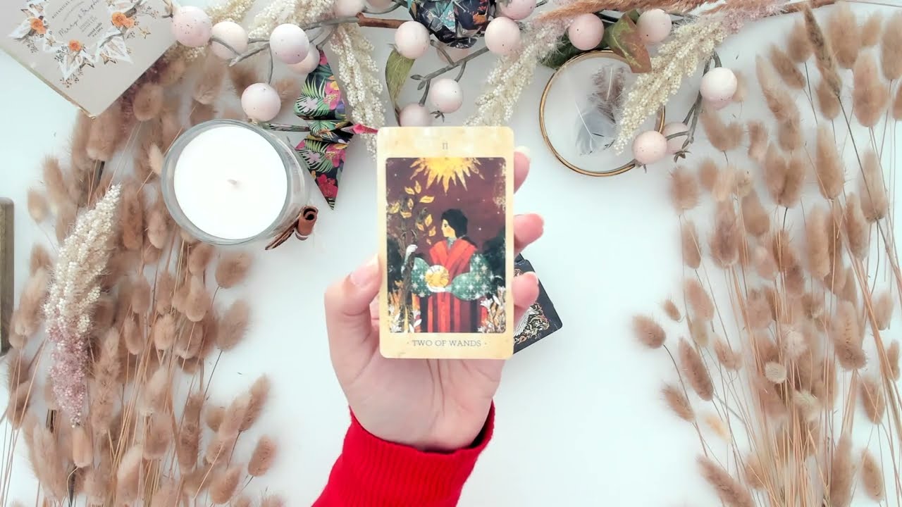 PREDICCIÓN para el 24 de FEBRERO del 2026🔮Consejo del Día ✨💖