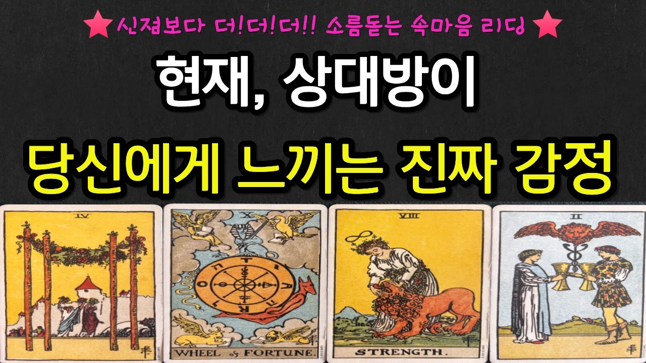 [타로] 지금 상대방이 당신에게 느끼는 진짜 감정♥️