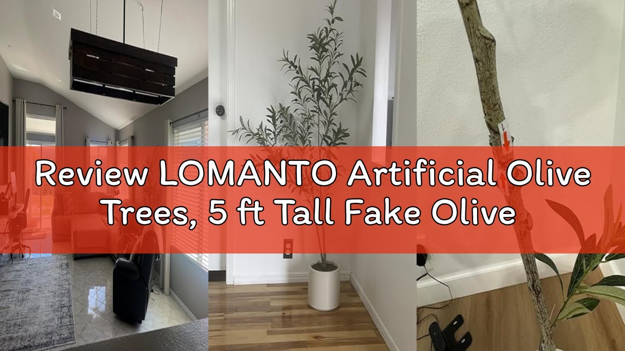 Review LOMANTO Artificial Olive Trees, 5 ft Tall Fake Olive Trees for Indoor, Faux Olive Silk Tree,