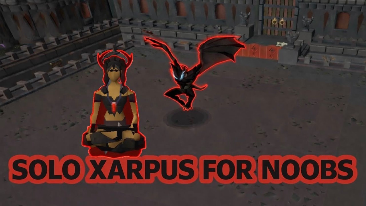 SOLO XARPUS FOR NOOBS (explained by a noob)