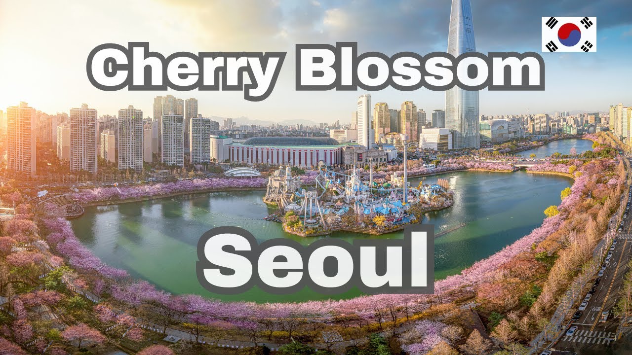 Seoul cherry blossom - Seoul one day trip - Seokchon Lake Park Seoul - Gyeongbok Palace, Seoul 1 day