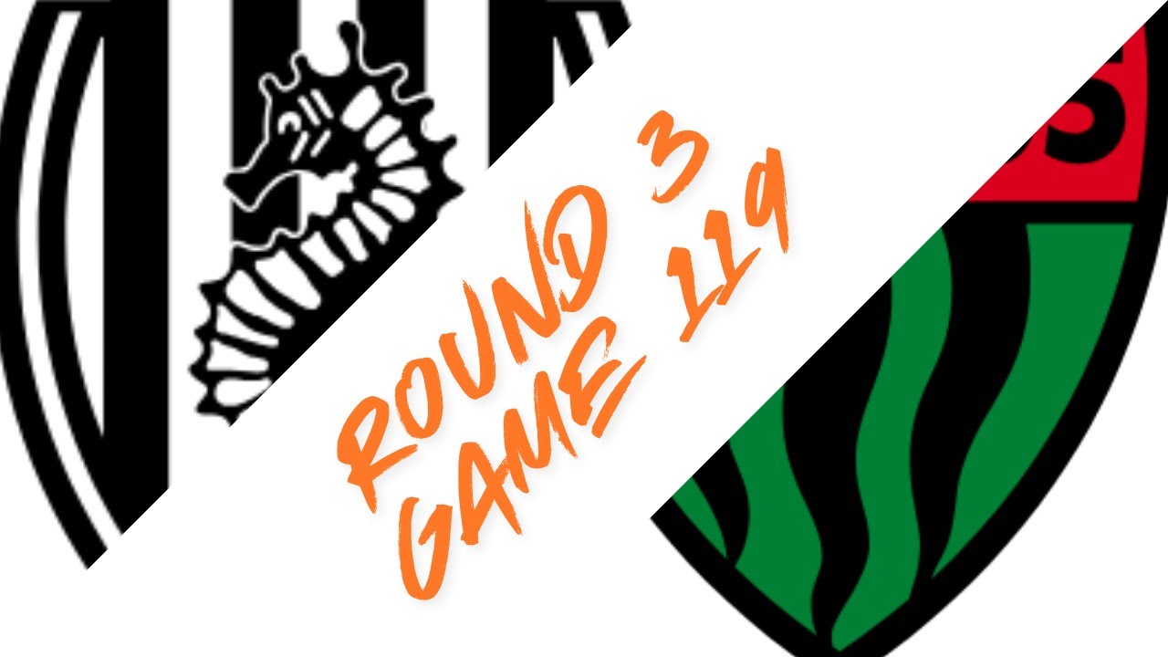 Round 3 Game 119 Cesena vs FC Schweinfurt