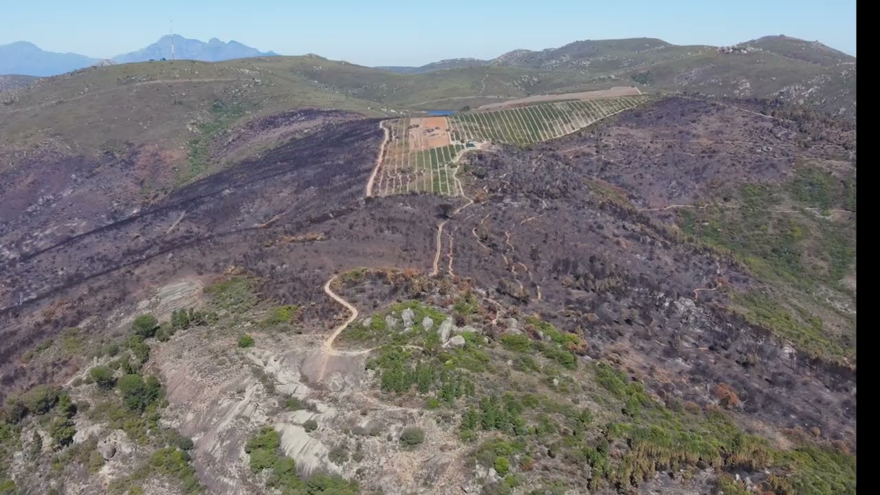 Ashes to Action: A Paarl Trails Initiative