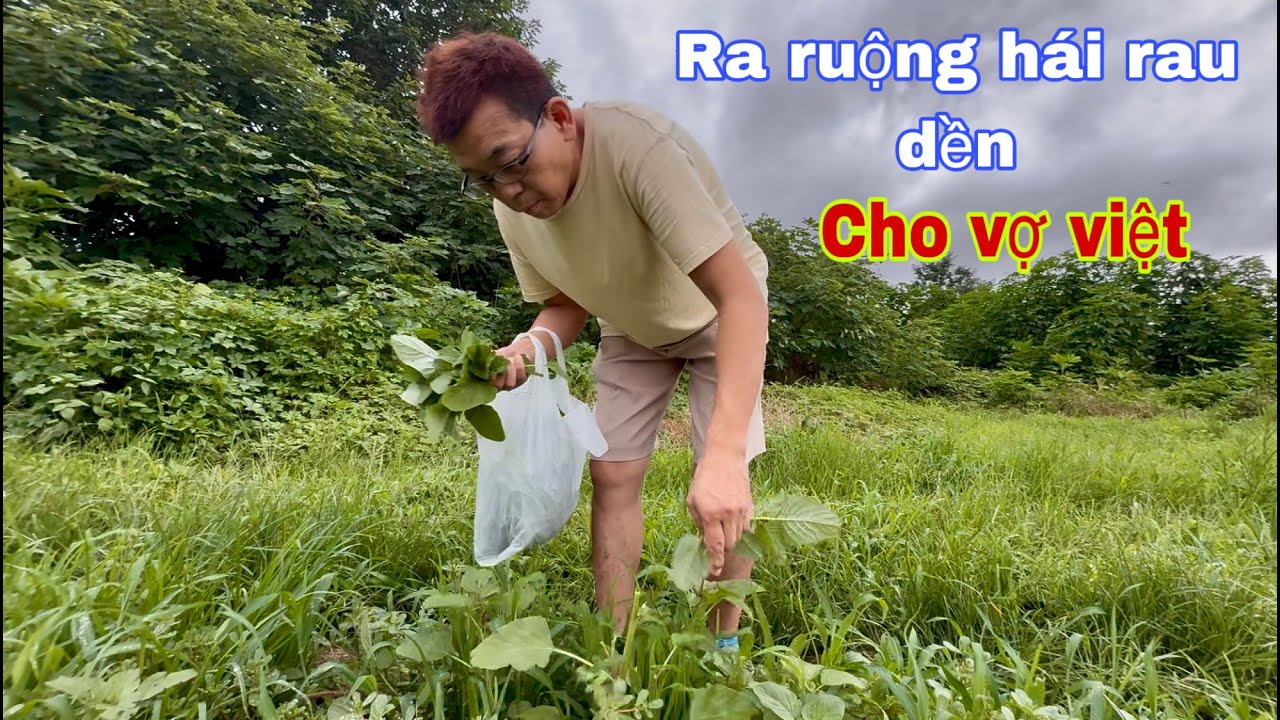 Vợ chồng em ra ruộng hái rau về ăn ghé tiệm tạp hoá việt nam mua ít đồ cô chú anh chị cùng đi nhen