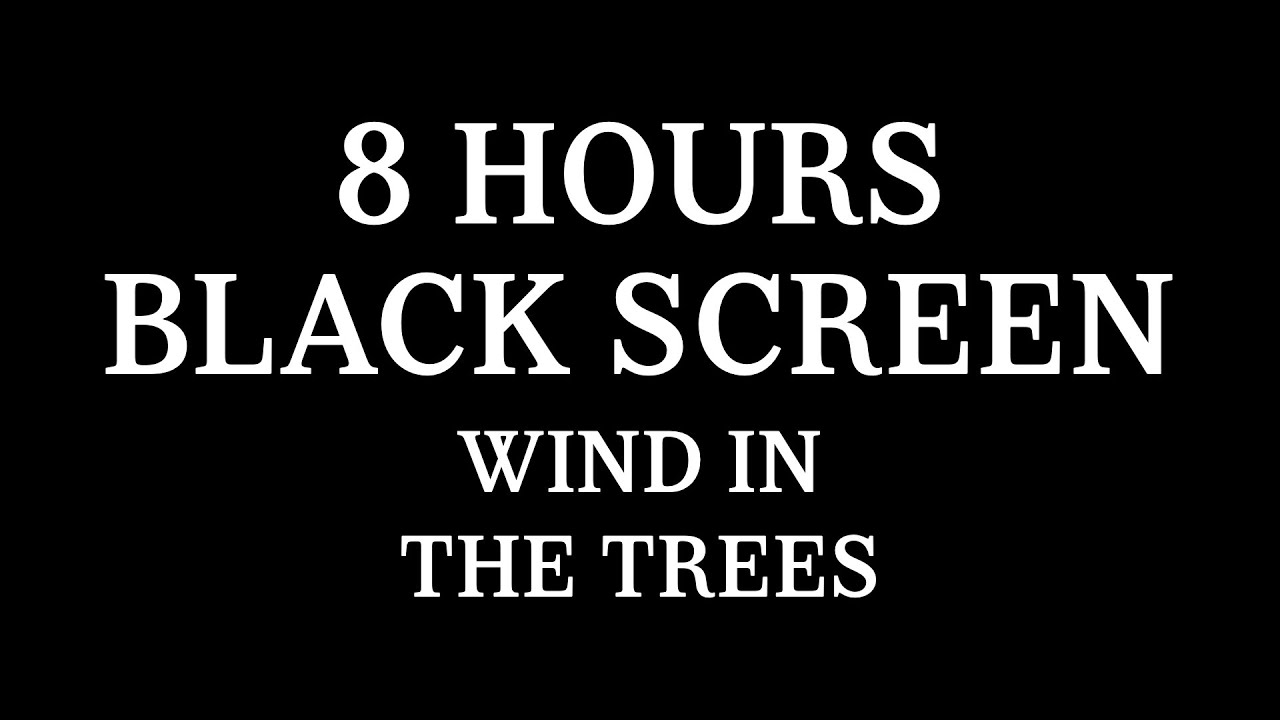 8 Hours Black Screen Wind in the Trees