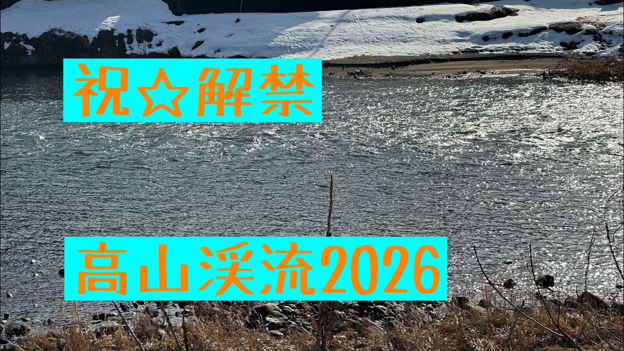 高山解禁2026！！