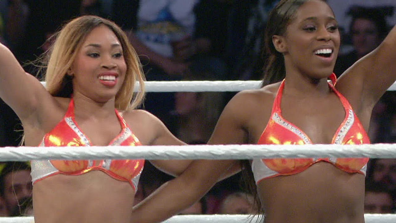 The Funkadactyls vs. Alicia Fox & Aksana: WWE Superstars, November 15, 2013