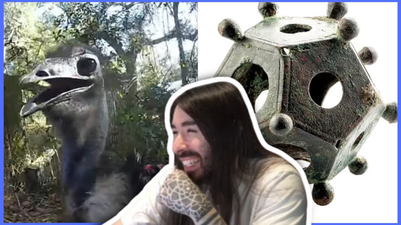 Emu Arrested, Huge Winter Storm and Archeology Talk | MoistCr1TiKaL