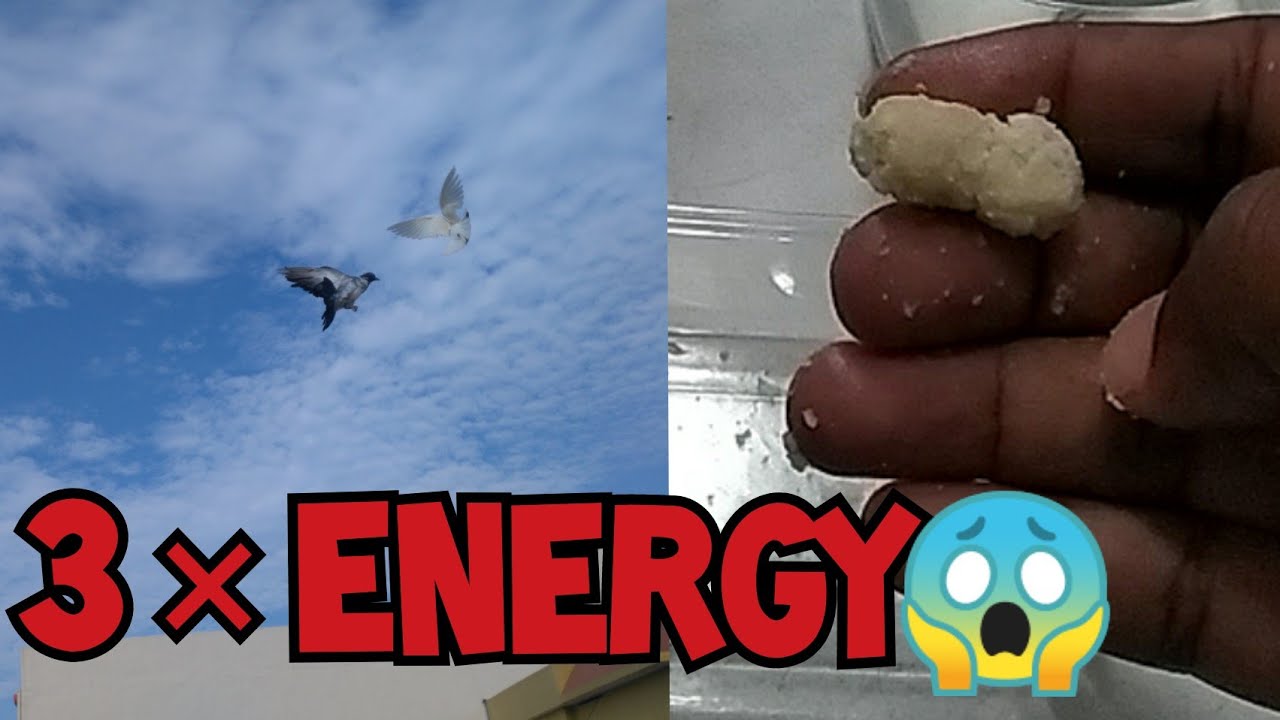 how to make high flyer supplement / 3 × energy booster / Tamil