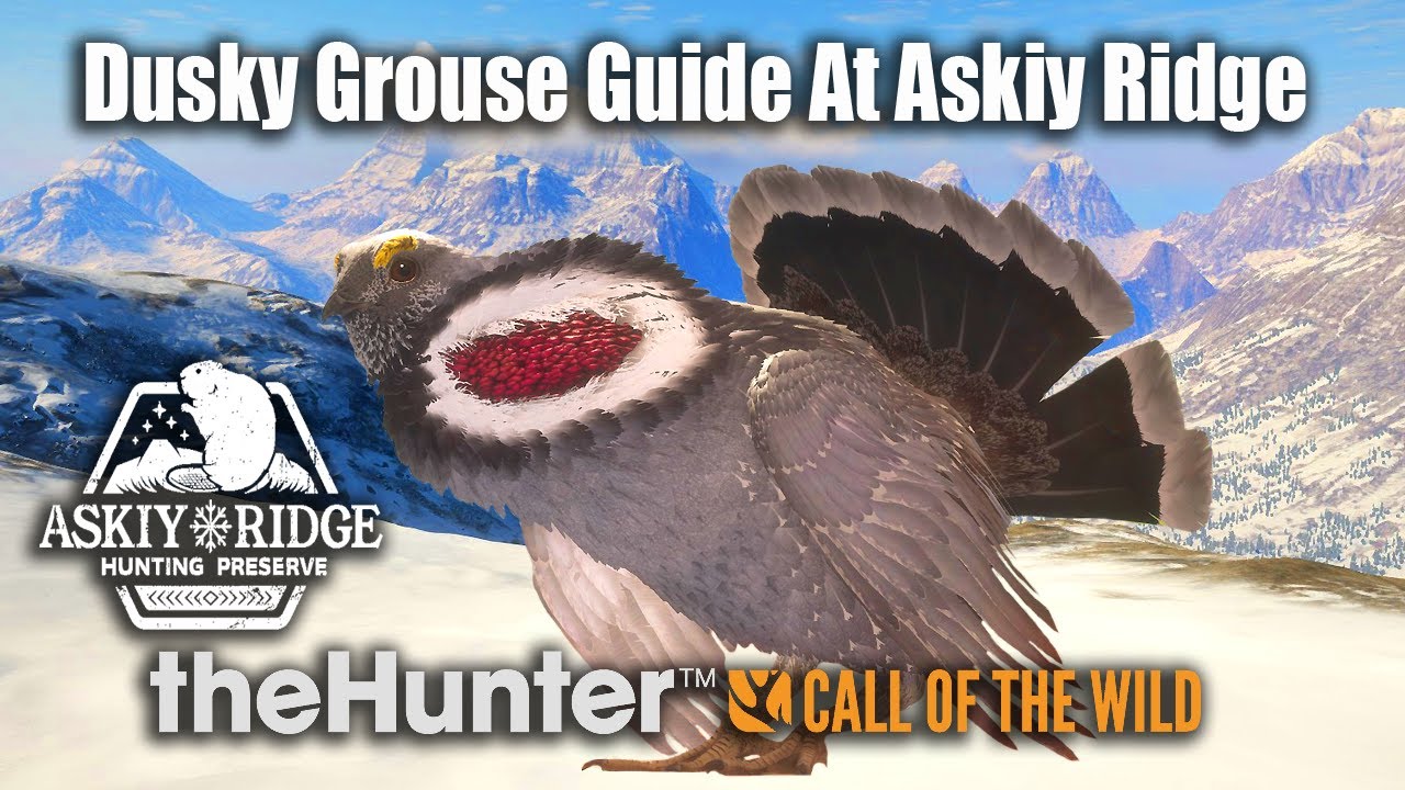 Dusky Grouse Guide At Askiy Ridge - theHunter Call Of The Wild