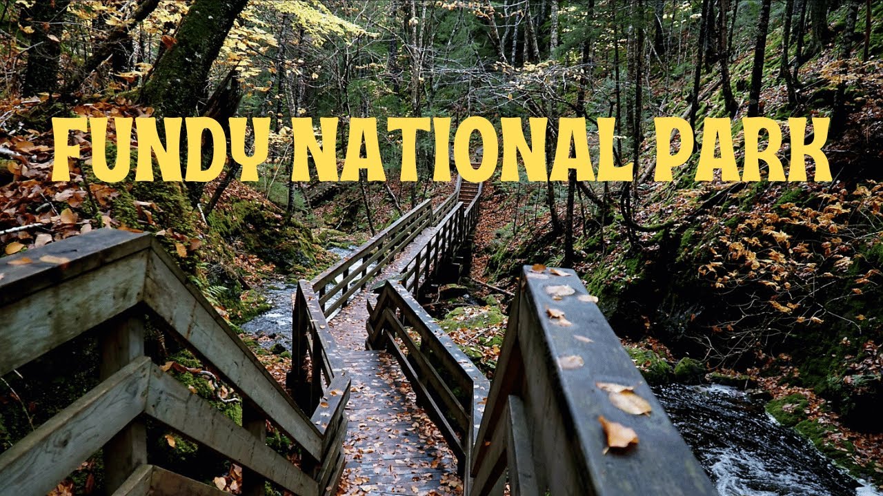 Exploring Fundy National Park & Trail Parkway | World’s Highest Tides & Border Crossing