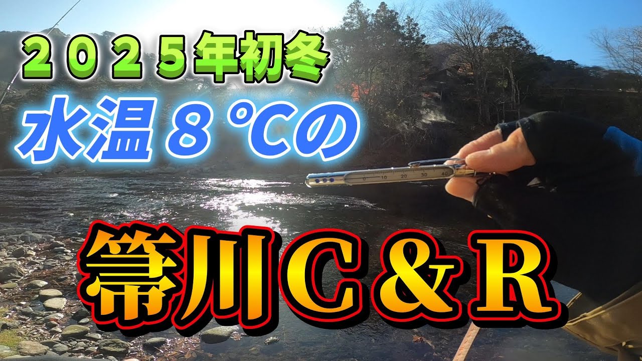 【本流トラウト】2025初冬 の箒川Ｃ＆Ｒは水温8℃！頂鱒の活性は！？3週間のボーズ生活脱却となるか！？