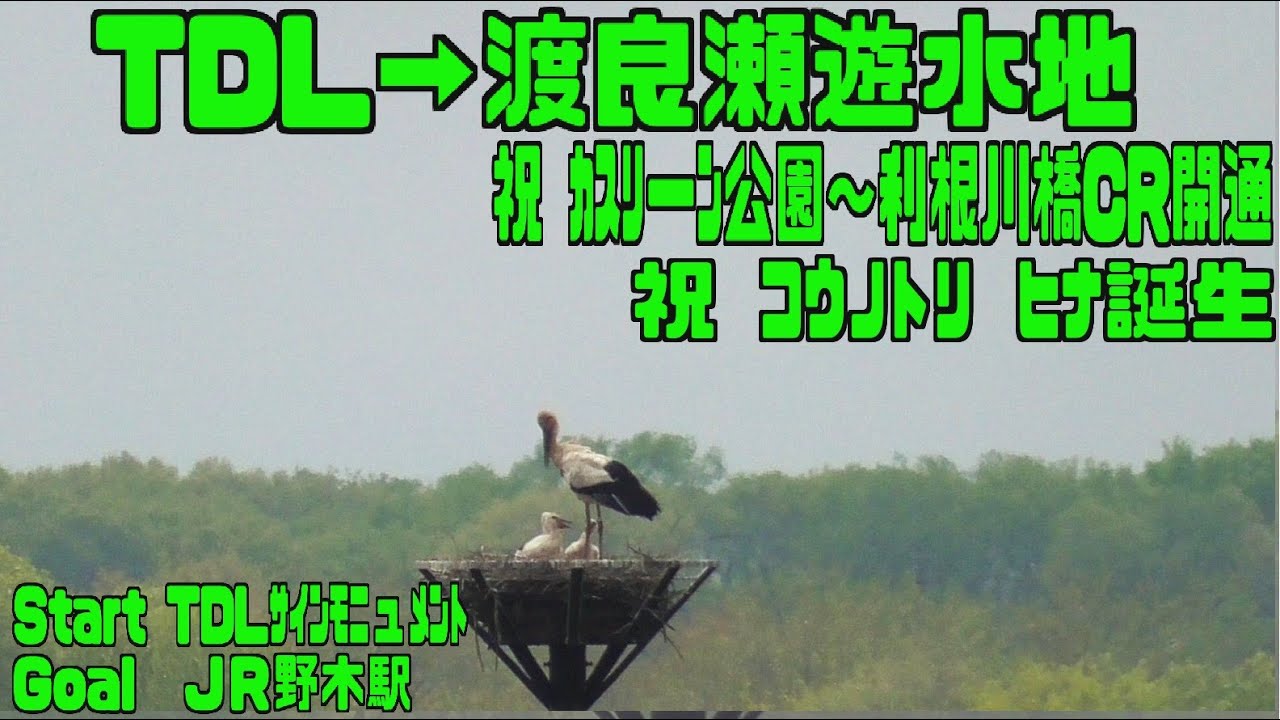 ｻｲｸﾘﾝｸﾞＴＤＬ→渡良瀬遊水地（2025.4.22 108㎞）