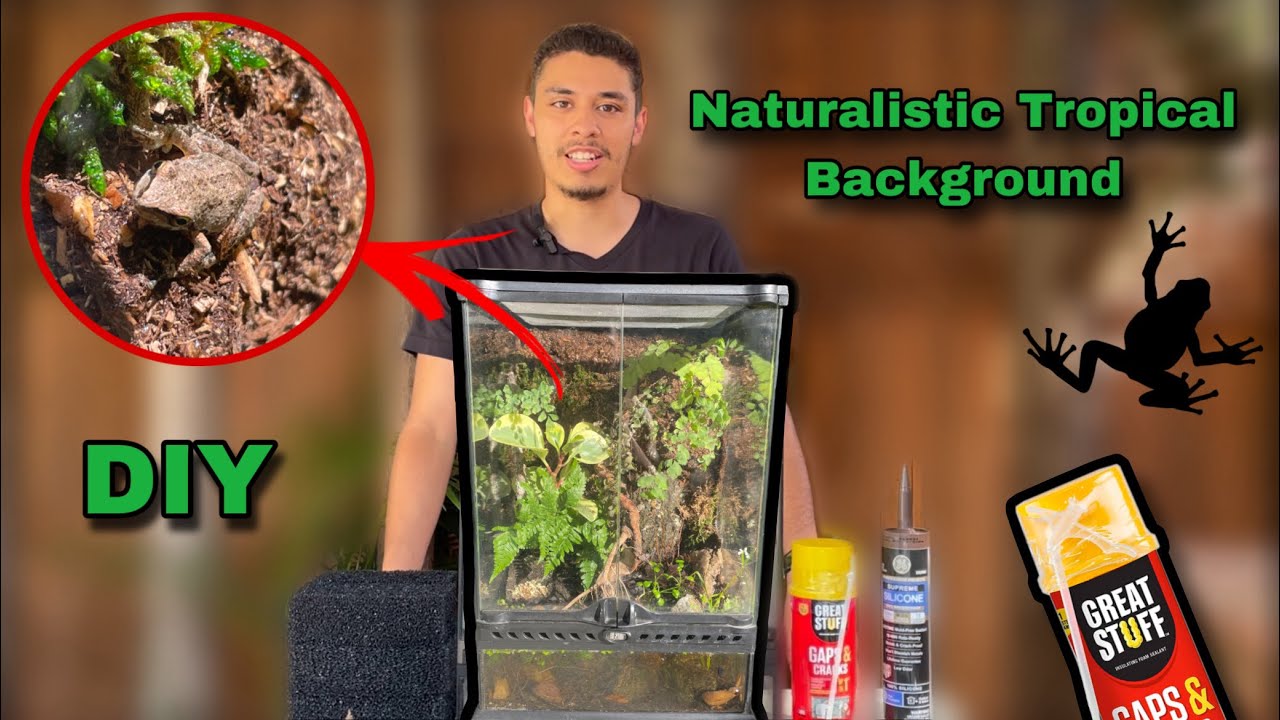DIY | How to Create a Custom Background for Tropical Terrarium/Palludarium