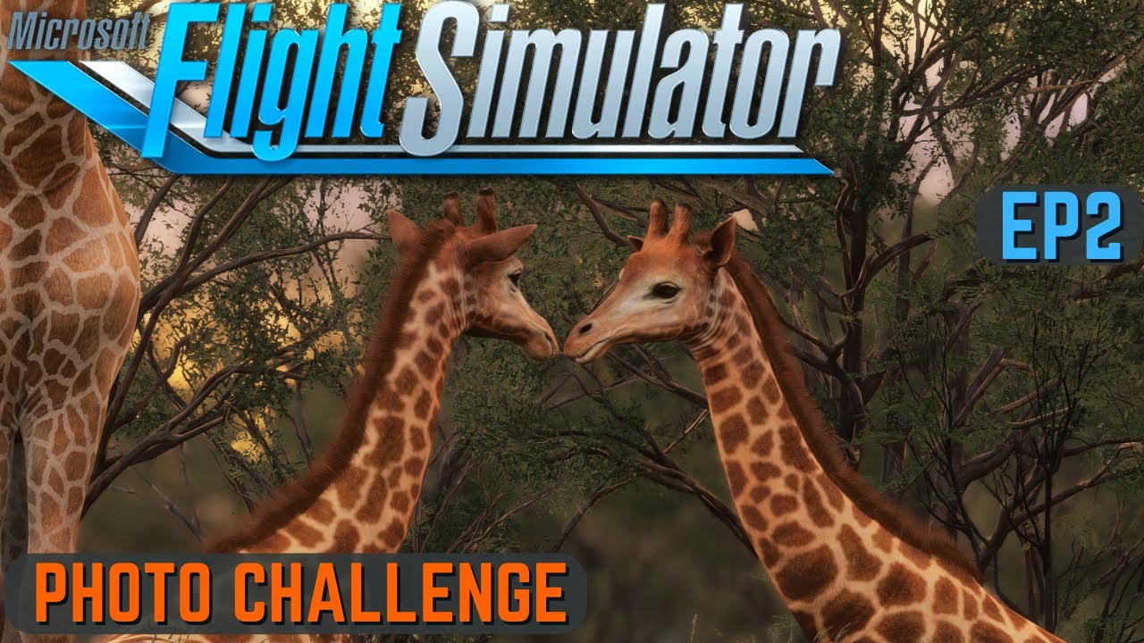 MSFS2024 | Photo Safari Challenge - Episode 2