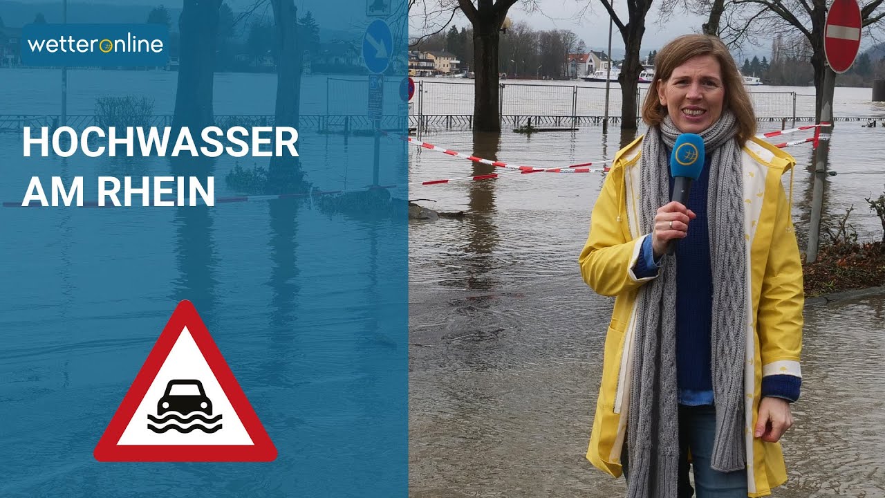Hochwasser am Rhein - Anstieg in Bonn/Köln/Düsseldorf (02.02.2021)