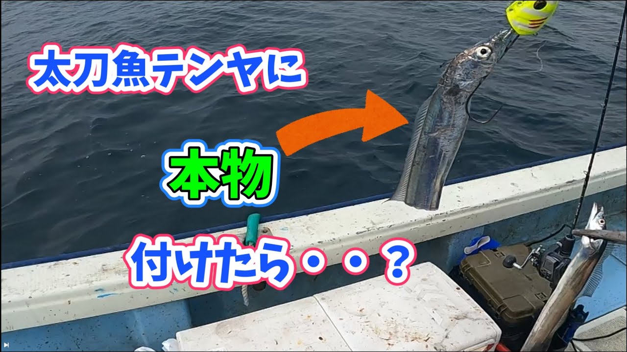 👏太刀魚で錬金術🙌太刀魚テンヤやってみた！