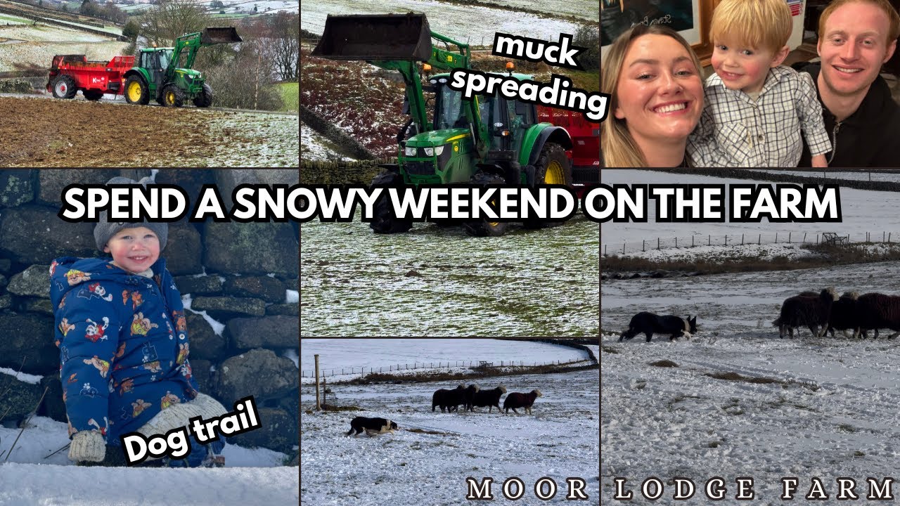 SPEND A SNOWY WEEKEND ON THE FARM