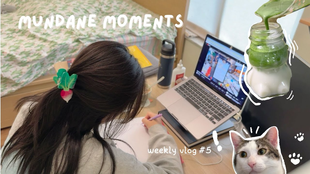 weekly vlog | beginning of dedicated board studying, making onigiri 🍙