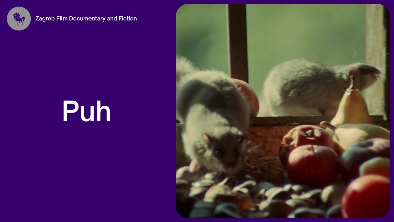 Puh (Branko M. Marjanović, 1976.) dokumentarni