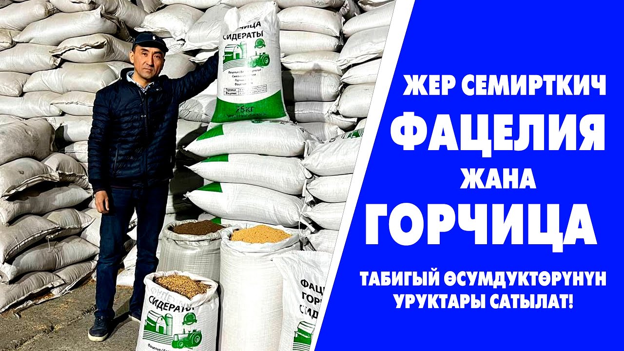 ХИМИКАТСЫЗ жер СЕМИРТКИЧТЕР ФАЦЕЛИЯ жана ГОРЧИЦА сатылат!