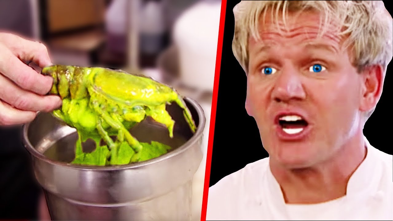 Top 10 Gordon Ramsay SHUTDOWNS (Kitchen Nightmares)