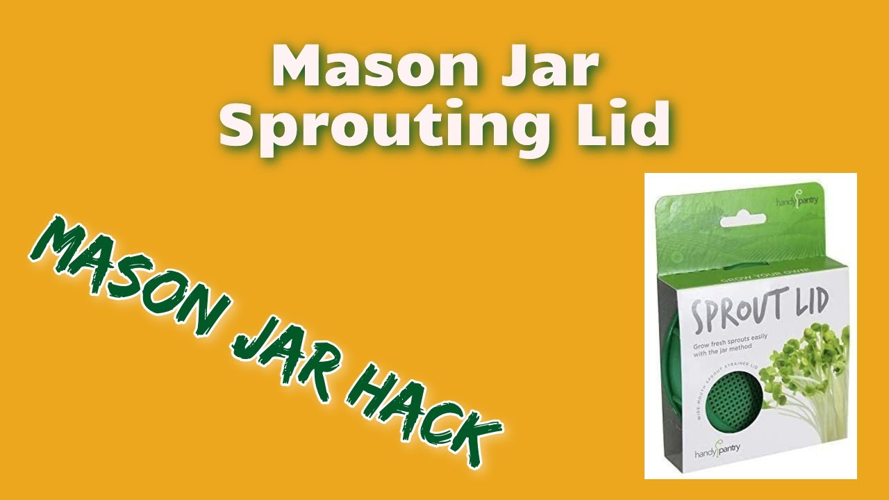 Review of a Cheap Mason Jar Sprouting Lid
