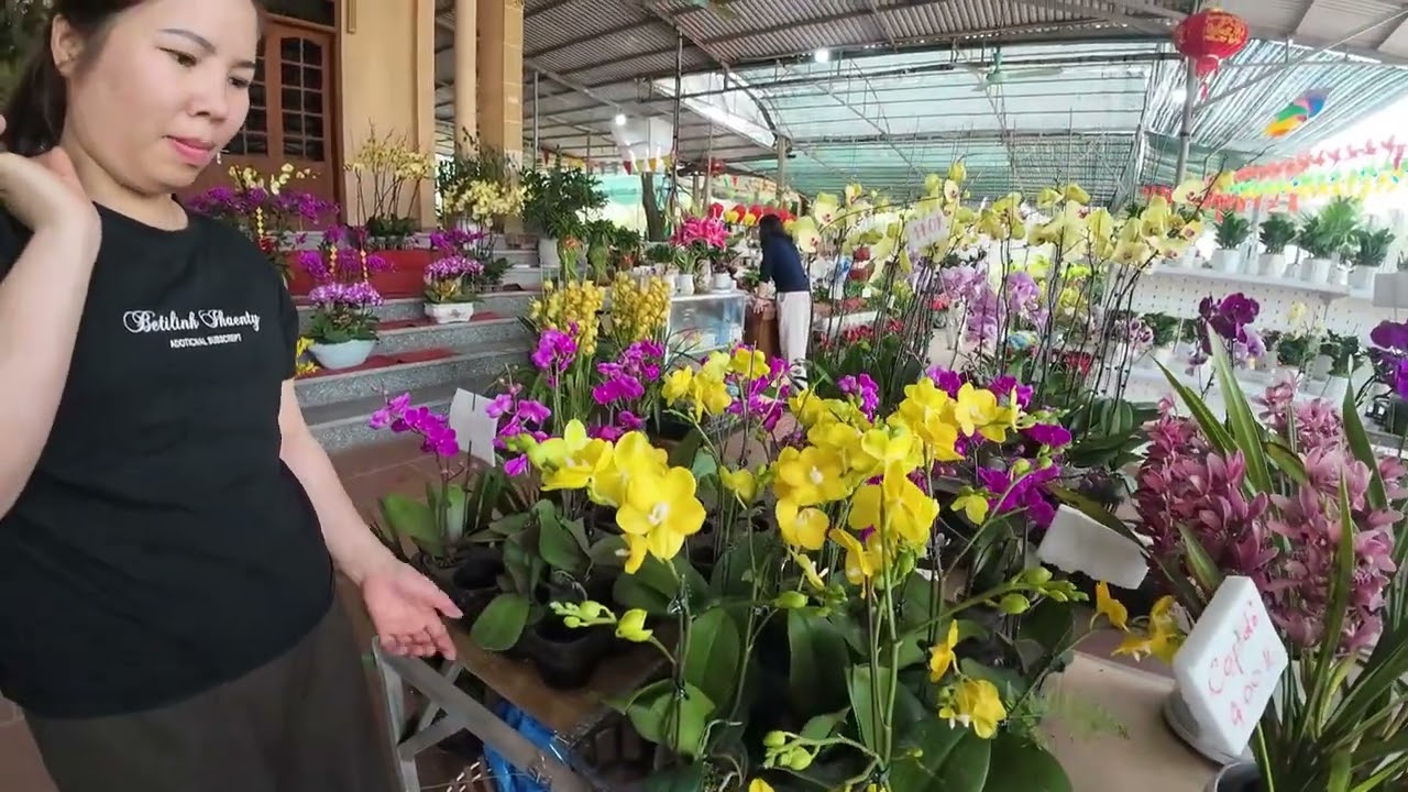 Chợ cây cảnh phường Chũ ngày 28 Tết 