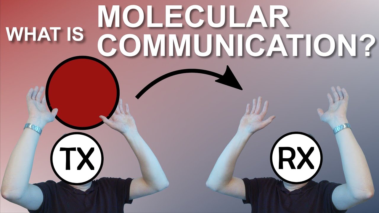 Molecular Communication in a Nutshell