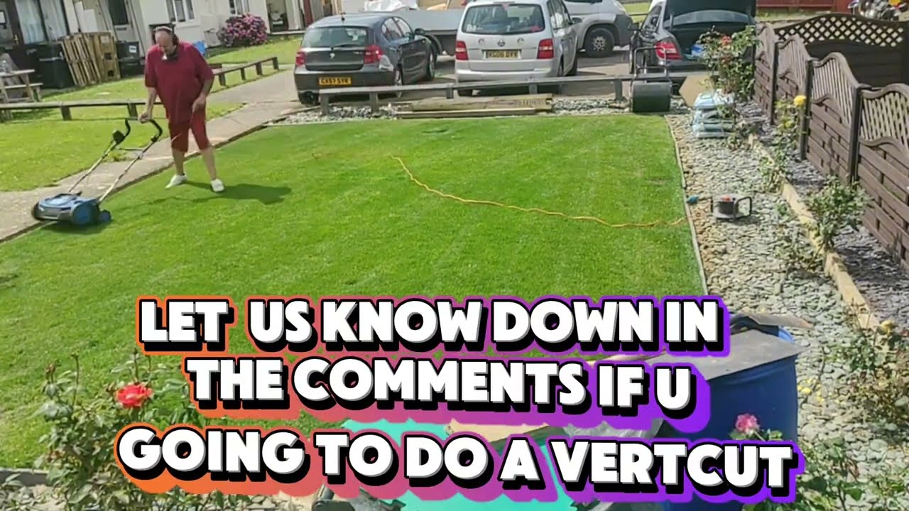 11.07.24 Watch our verticutting video and let us know in the comments what you would have done!