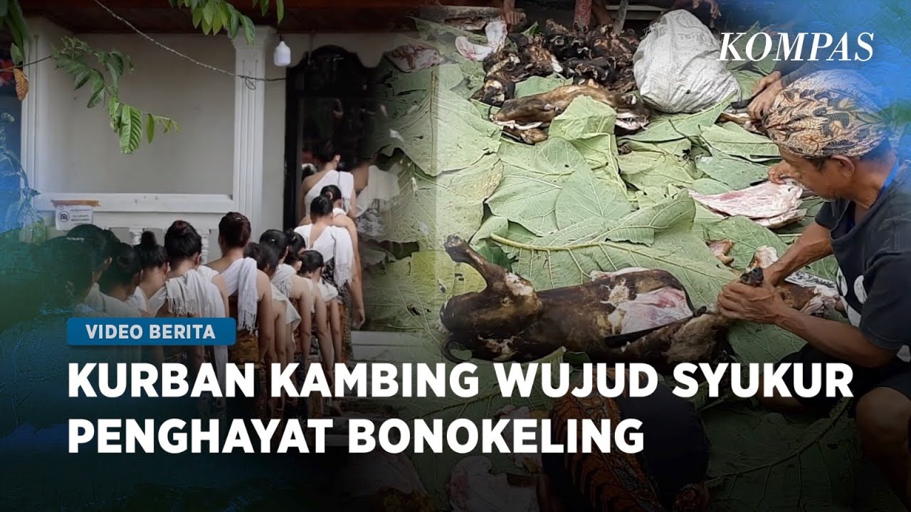 Tradisi “Perlon Besar”, Warga Adat Bonokeling Kurbankan 15 Ekor Kambing