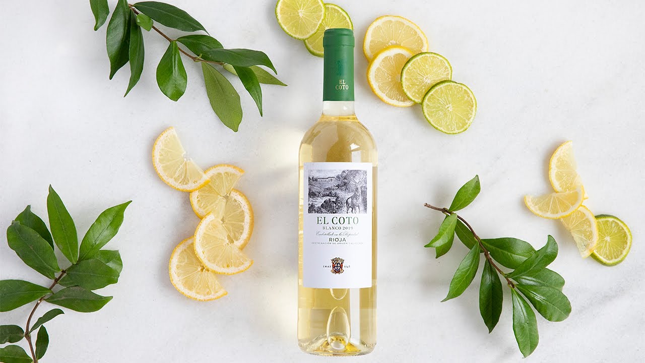 Lo que NO te han contado sobre la 🍋ACIDEZ de un VINO🍋 I WineClass EP10 - El Coto de Rioja