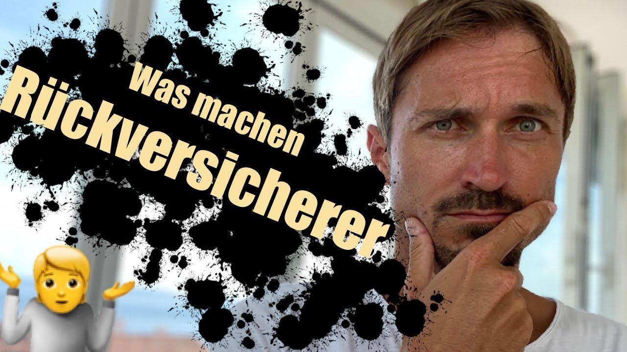 Was machen Rückversicherungen?