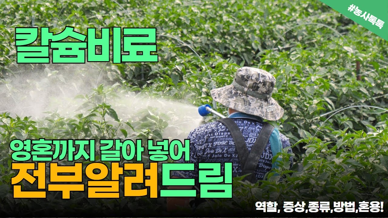 칼슘비료의모든것!