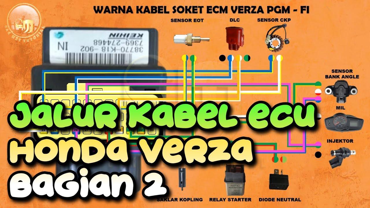 Warna kabel Pin ECU  Verza PGM FI  Bagian 2 || Kelistrikan Sepeda motor 148