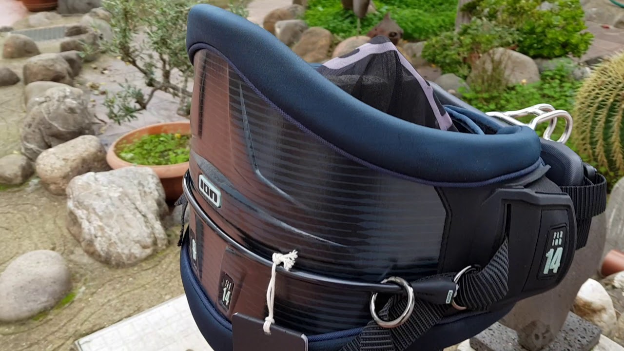 ION HARNESS ION RIOT CURVE 2020