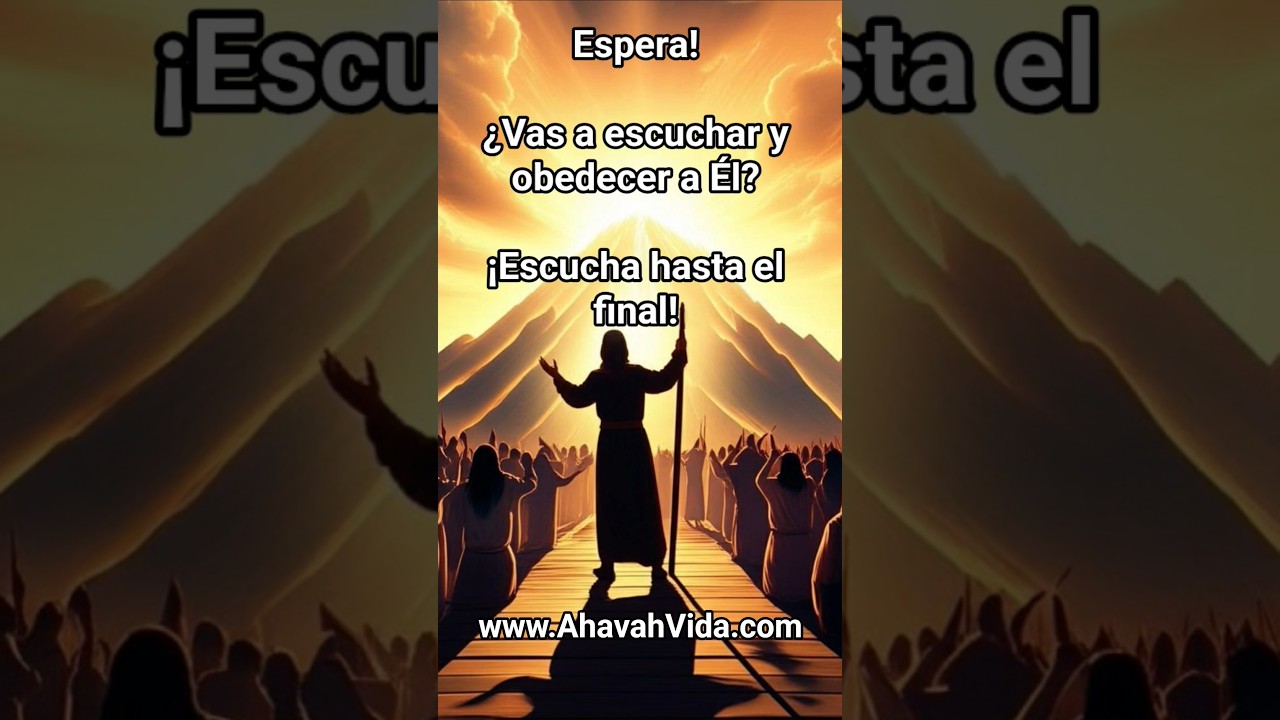 Na'aseh V'nishma - Haremos y Escucharemos #ahavahvida #musicadefe #alabanza #obedece #hebreo