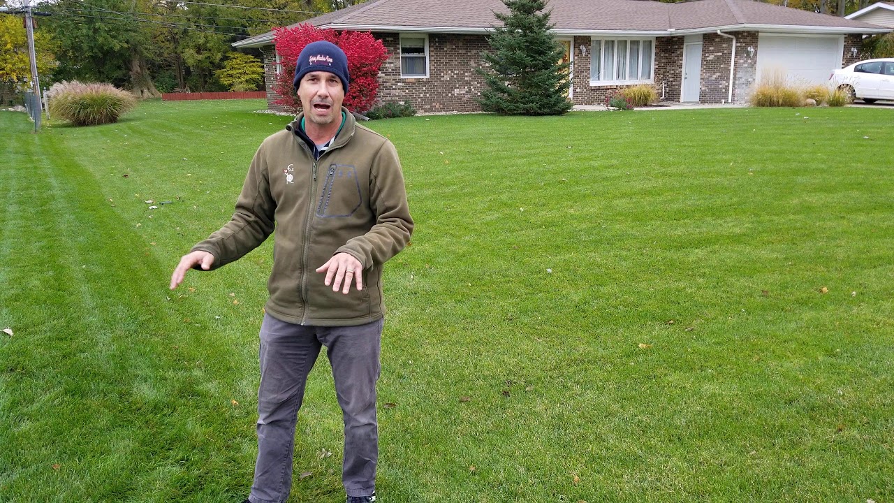 Do's & Don't's for Winter Lawn Prep in Cool Season Turf