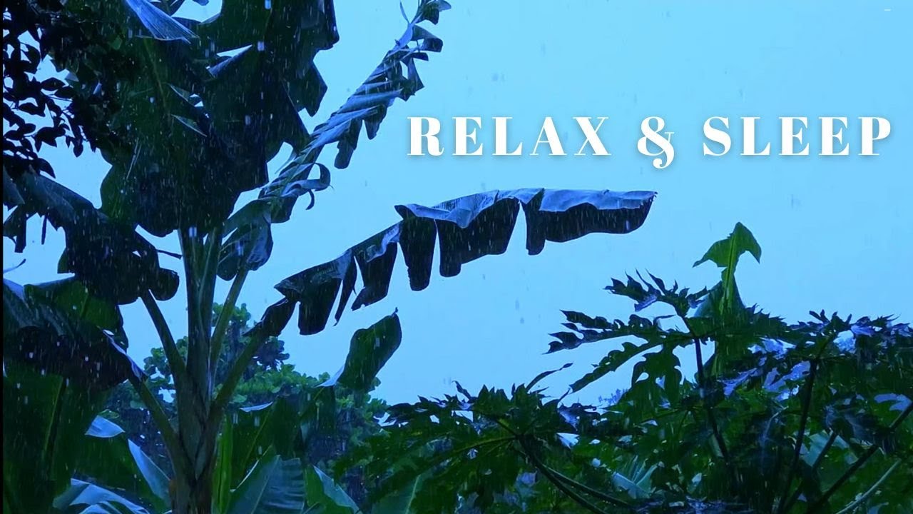 Peaceful Rain on Green Leaves — Relax, Sleep, and Let Go of Stress