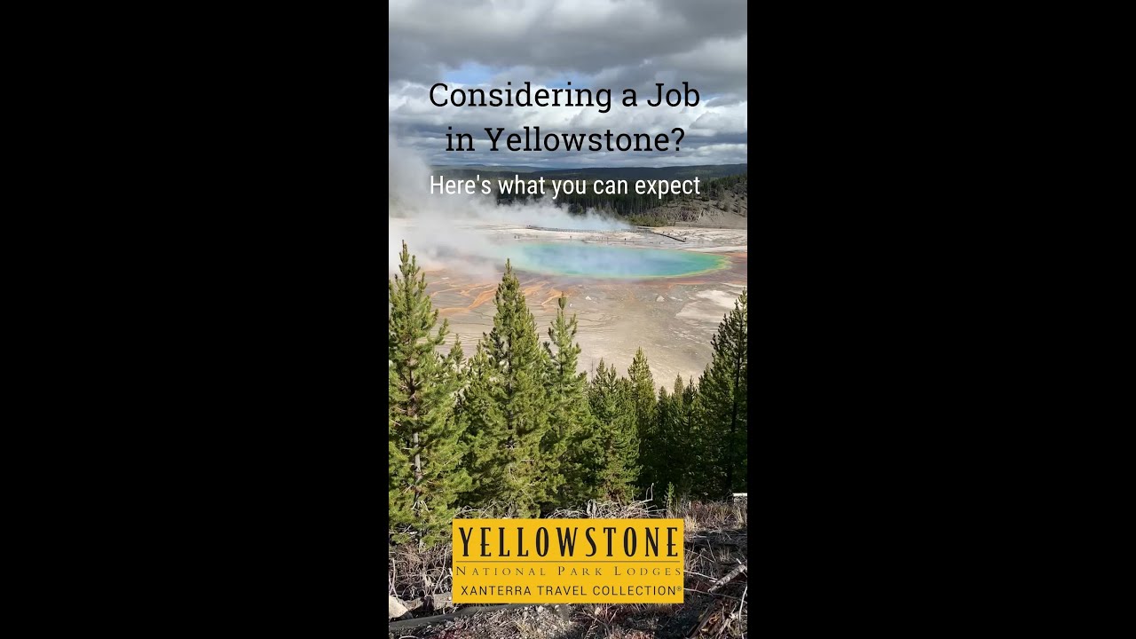 Considering a Job in Yellowstone?