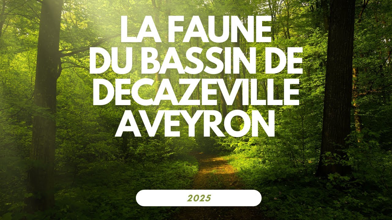 La Faune du Bassin de Decazeville Aveyron 