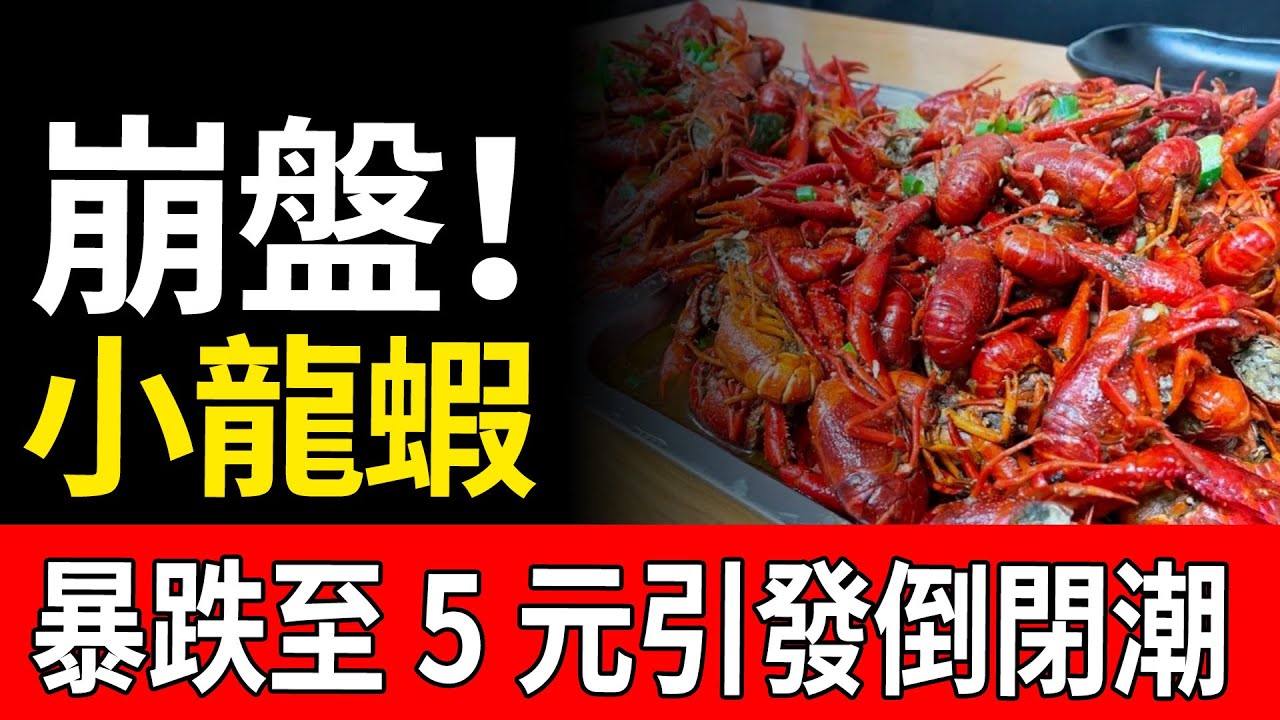 完了！小龍蝦跌至5元斤，價格直接腰斬！店鋪倒閉、蝦農血虧、資本撤退，曾經5000億的夜宵霸主如今門庭冷落。行業面臨大洗牌，頭部品牌都在苦苦支撐，殘酷的淘汰賽正式開啟！#小龍蝦  #消費降級 #實體店倒