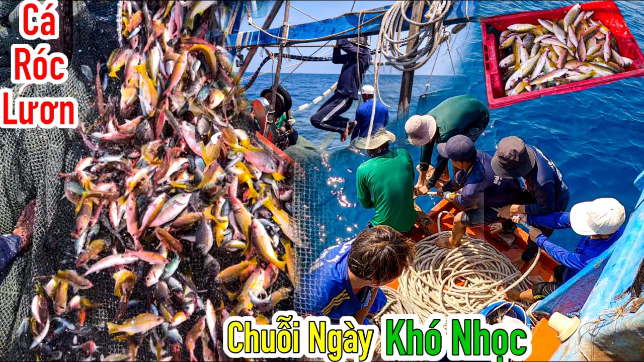 Lưới Bao Rạn 13 | Gặp Mẻ “Róc Lươn” Nhưng Nước Xấu | Bất Ngờ Ghe Ngập Nước Bên Trong | Sơn Phú Quốc