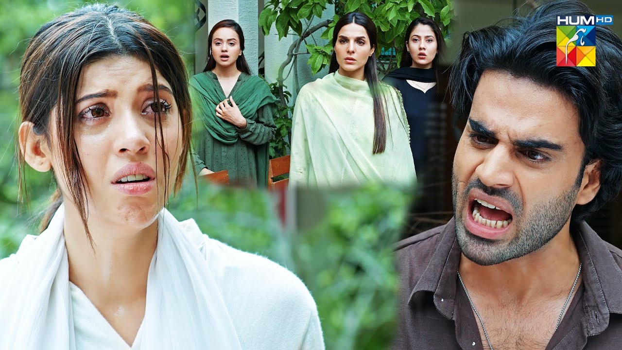 The Truth Finally Revealed 😱 | Most Awaited Scene  #meribahuain - HUM TV