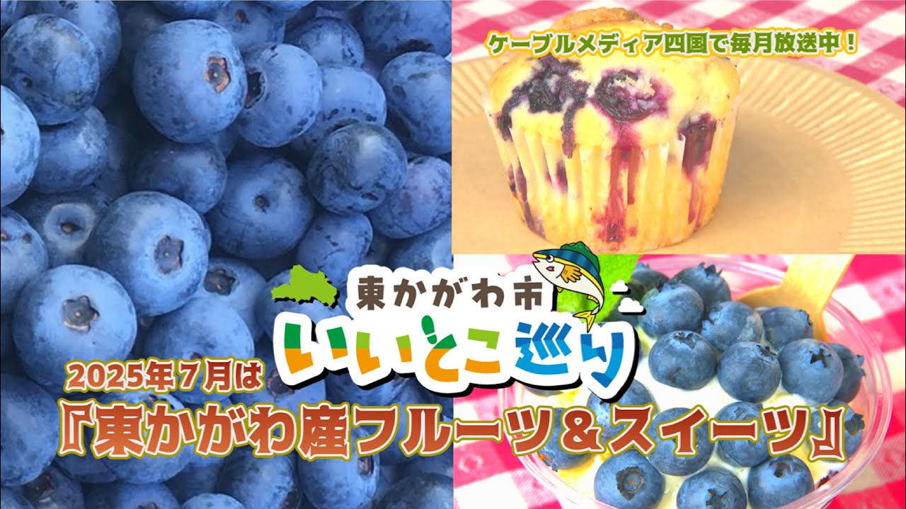 東かがわ市いいとこ巡り2025年7月放送