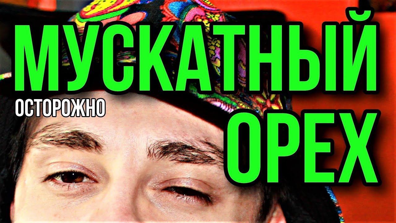 мускатный орех | что нужно знать | действие мускатного ореха | мускат  трип | о мускатном орехе