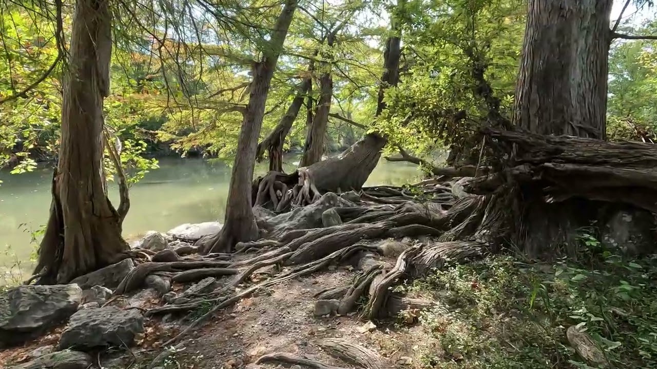 Guadalupe River State Park: A Must Visit in Central Texas for River Fun and Hiking