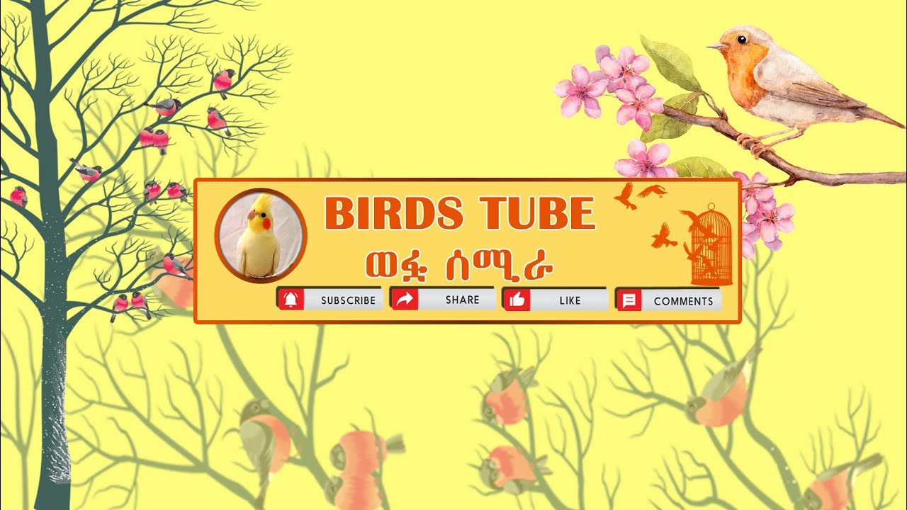 የተሰጣችሁን ብታዉቁት የጎደላችሁ የለም
